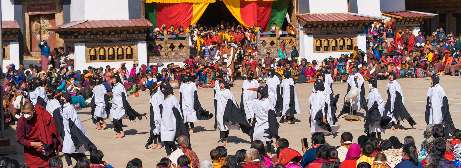 Black Necked Crane Festival Tour