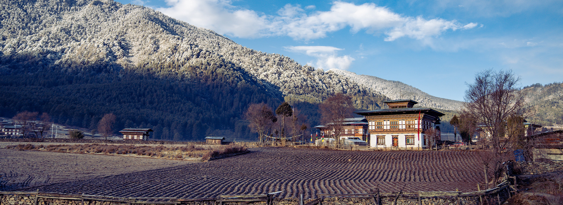 Cultural Tour to Phobjikha Valley
