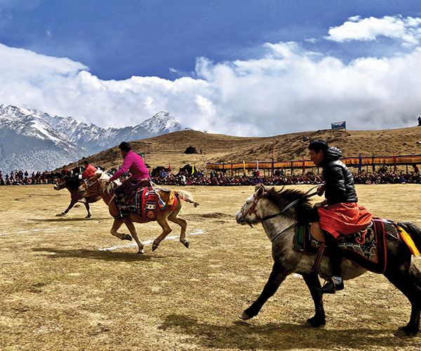 Jomolhari Laya Gasa Trek