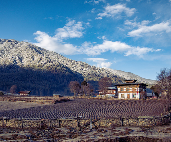 Cultural Tour to Phobjikha Valley