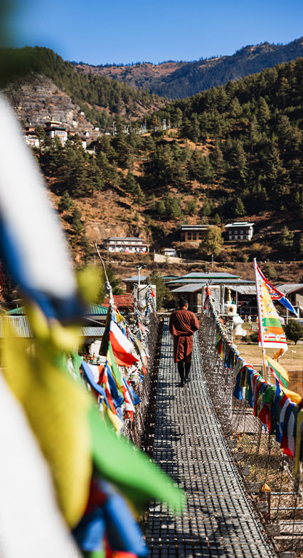 Bosque Tours & Treks