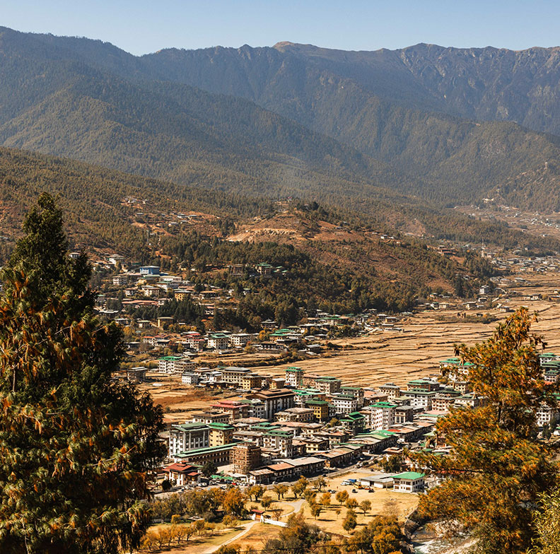 Bosque Tours & Treks